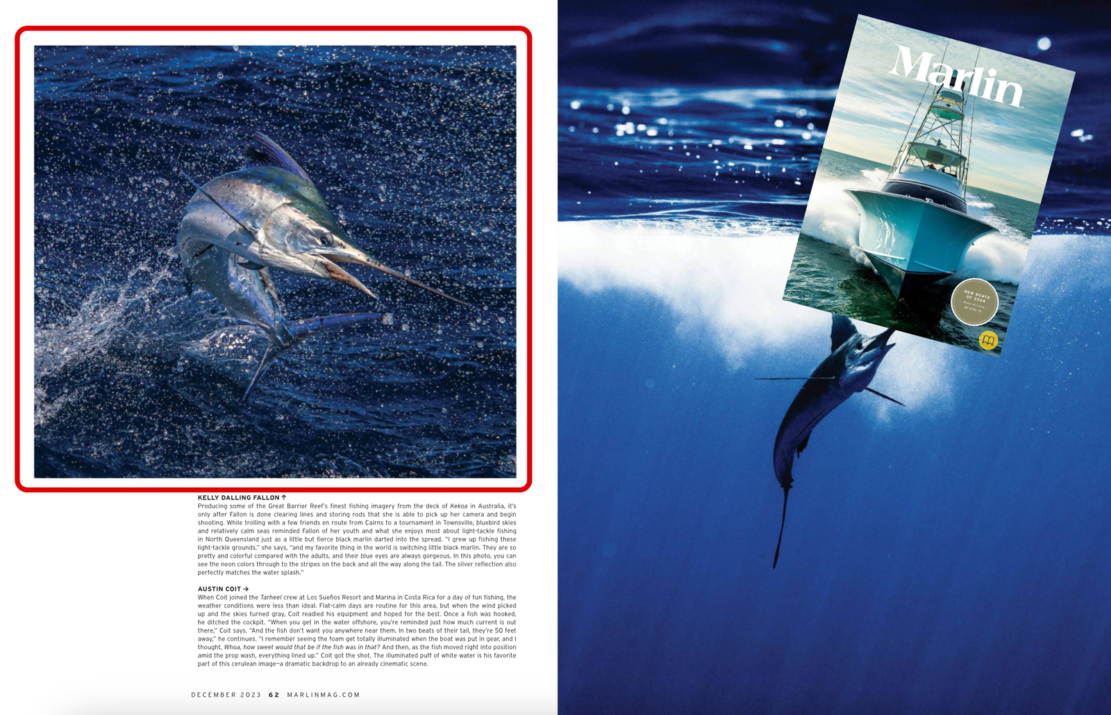 Unveiling the Stories of the Top Marlin Photographers